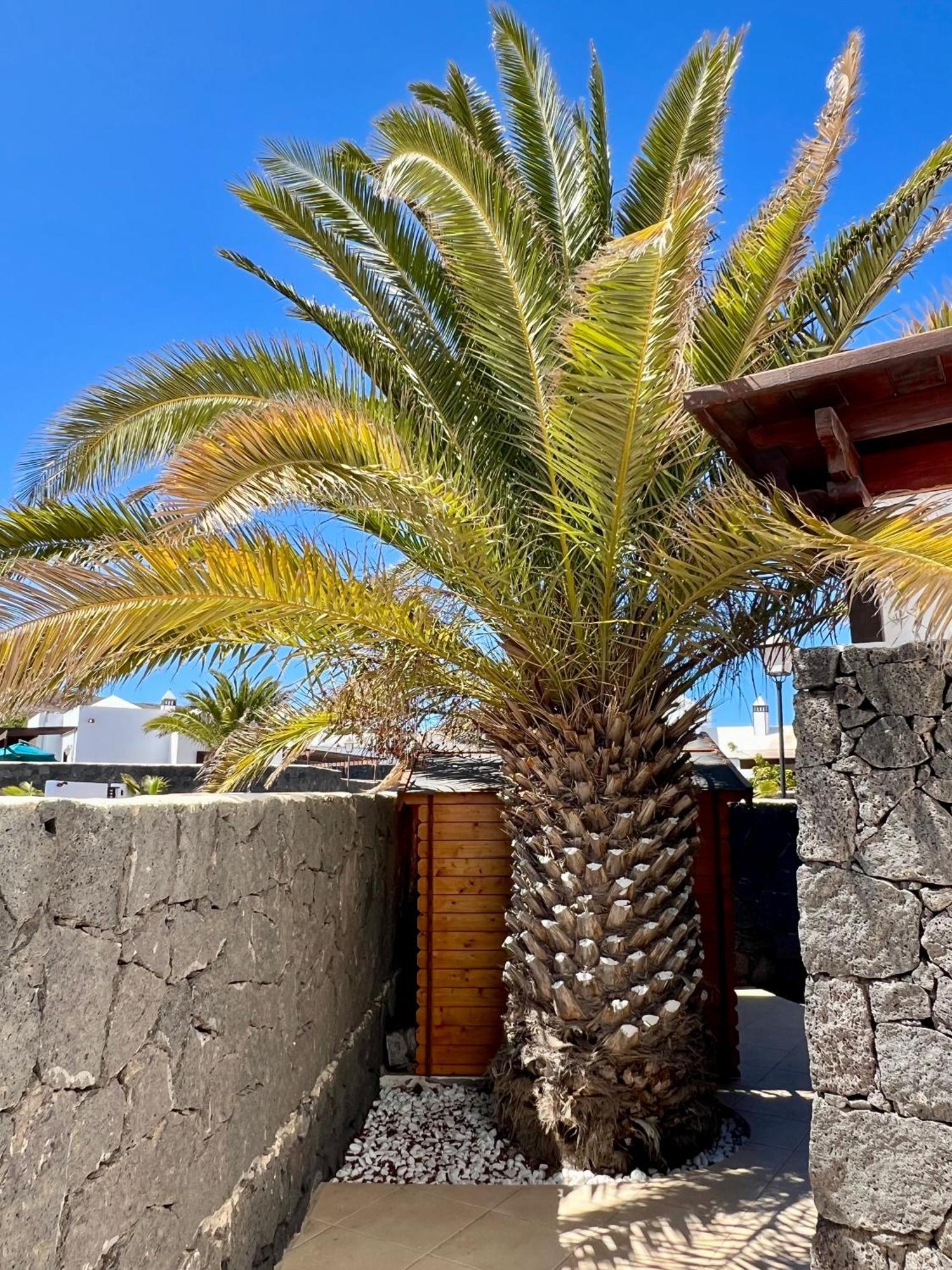 Villa Atienza 99 Playa Blanca  Luaran gambar